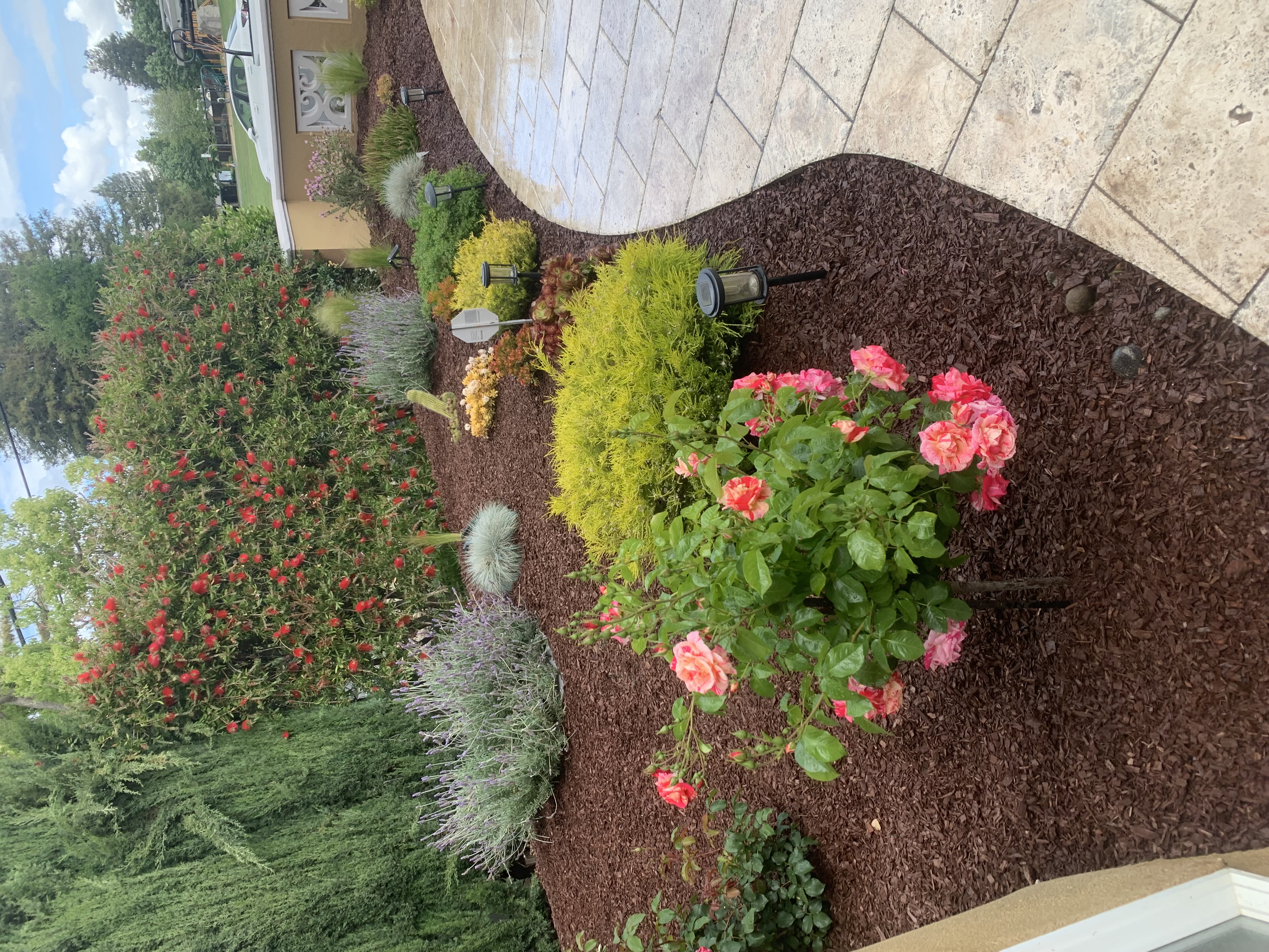 Beautifully planted garden bed with roses and flowering shrubs